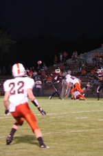 Enlarge photo 202