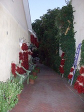 Enlarge photo 71