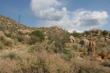 Enlarge photo 7