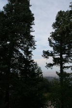 Enlarge photo 46