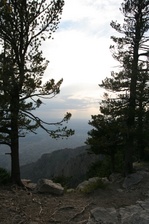 Enlarge photo 66