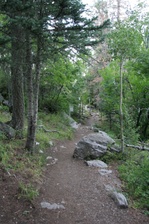 Enlarge photo 74