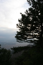 Enlarge photo 83
