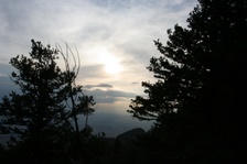 Enlarge photo 85
