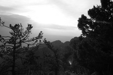 Enlarge photo 87