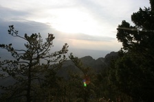 Enlarge photo 88