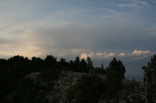 Enlarge photo 104