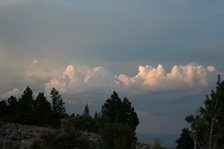 Enlarge photo 108