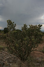 Enlarge photo 44