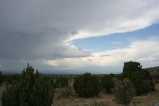 Enlarge photo 56