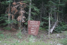 Enlarge photo 84