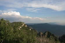 Enlarge photo 89