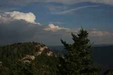 Enlarge photo 95