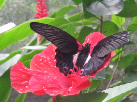 Enlarge photo 7
