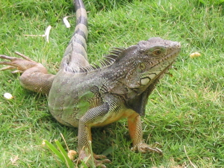 Enlarge photo 10