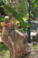 Enlarge photo 22