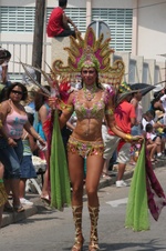 Enlarge photo 51