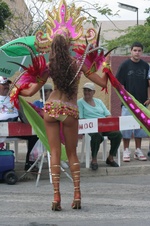 Enlarge photo 61
