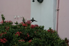 Enlarge photo 90