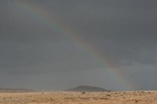Enlarge photo 94