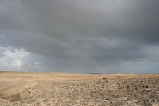 Enlarge photo 95