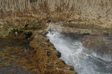 Enlarge photo 102