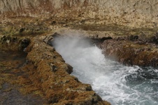 Enlarge photo 103