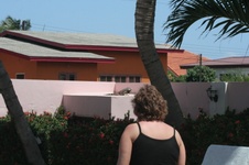 Enlarge photo 121