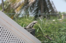 Enlarge photo 122
