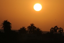Enlarge photo 124