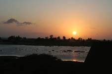 Enlarge photo 125