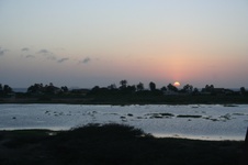 Enlarge photo 127