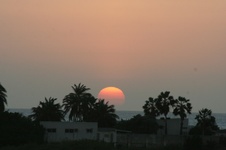 Enlarge photo 128