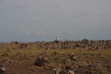 Enlarge photo 132