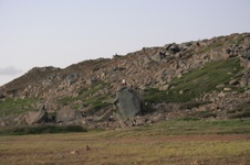 Enlarge photo 133