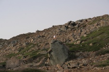 Enlarge photo 134