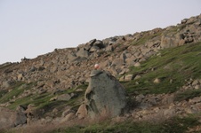 Enlarge photo 135