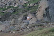 Enlarge photo 136