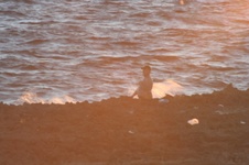 Enlarge photo 140