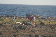 Enlarge photo 146