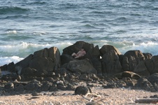 Enlarge photo 152