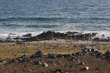 Enlarge photo 154
