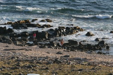 Enlarge photo 156