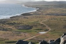 Enlarge photo 157