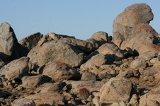 Enlarge photo 158
