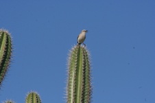 Enlarge photo 162