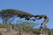 Enlarge photo 166