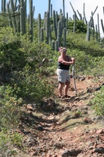 Enlarge photo 167