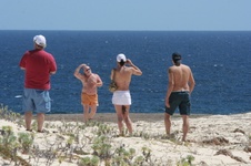 Enlarge photo 174