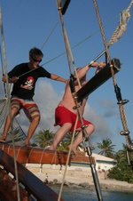Enlarge photo 186